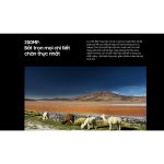 Galaxy S24 Ultra - Ảnh 7